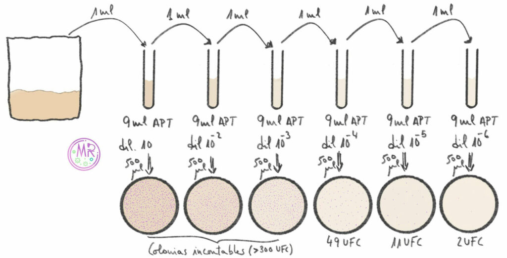 Diluciones seriadas