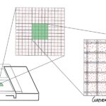 Recuento de eritrocitos - Cámara de Neubauer