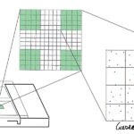 Recuento de Leucocitos - Cámara de Neubauer