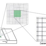 Recuento de plaquetas - Cámara de Neubauer