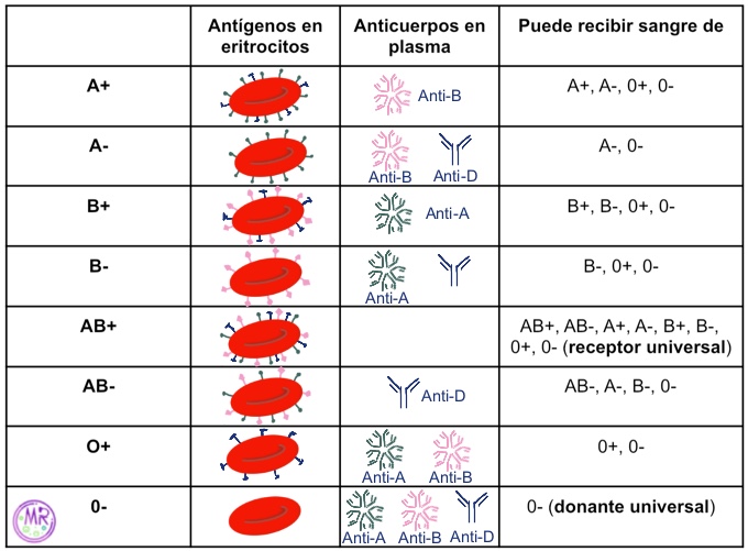 Cuadro de compatibilidades sanguíneas